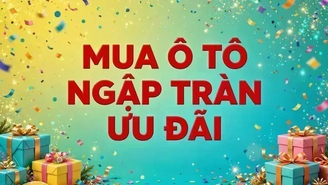 Địa điểm hỗ trợ xem xe tại Tiền Giang